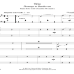 Cuckoo Birds (Transcribed Piano Solo)